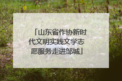 山东省作协新时代文明实践文学志愿服务走进邹城