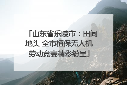 山东省乐陵市：田间地头 全市植保无人机劳动竞赛精彩纷呈