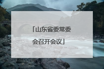 山东省委常委会召开会议
