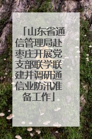 山东省通信管理局赴枣庄开展党支部联学联建并调研通信业防汛准备工作