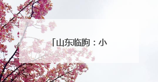 山东临朐：小鹅肝拓出产业富民“新赛道”