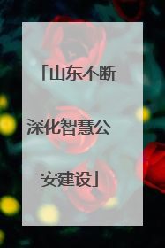 山东不断深化智慧公安建设