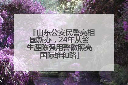 山东公安民警亮相国新办，24年从警生涯陈强用警徽照亮国际维和路