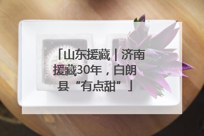 山东援藏｜济南援藏30年，白朗县“有点甜”