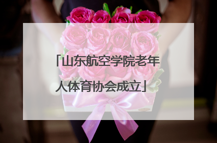 山东航空学院老年人体育协会成立
