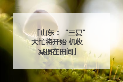 山东：“三夏”大忙将开始 机收减损在田间