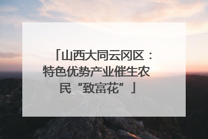 山西大同云冈区：特色优势产业催生农民“致富花”