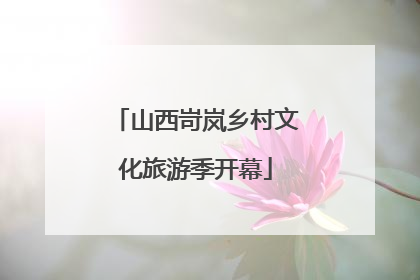 山西岢岚乡村文化旅游季开幕