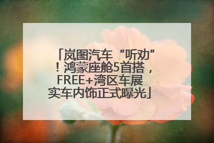 岚图汽车“听劝”！鸿蒙座舱5首搭，FREE+湾区车展实车内饰正式曝光