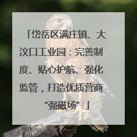 岱岳区满庄镇、大汶口工业园：完善制度、贴心护航、强化监管，打造优质营商“强磁场”