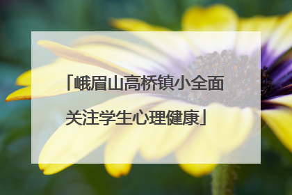 峨眉山高桥镇小全面关注学生心理健康