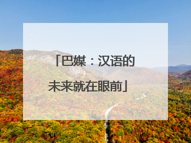 巴媒：汉语的未来就在眼前