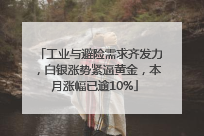 工业与避险需求齐发力，白银涨势紧逼黄金，本月涨幅已逾10%