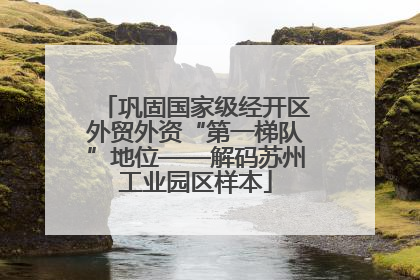 巩固国家级经开区外贸外资“第一梯队”地位——解码苏州工业园区样本