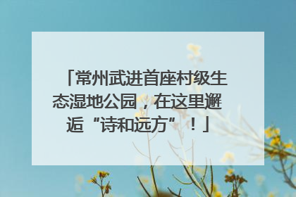 常州武进首座村级生态湿地公园，在这里邂逅“诗和远方”！