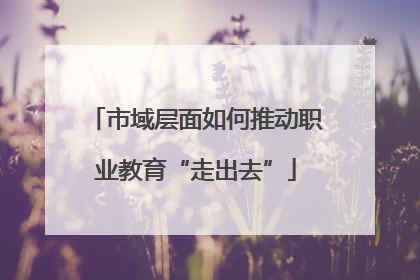 市域层面如何推动职业教育“走出去”