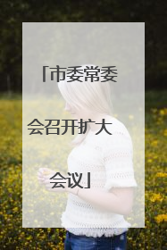 市委常委会召开扩大会议