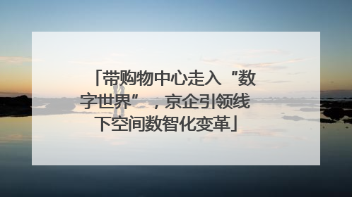 带购物中心走入“数字世界”，京企引领线下空间数智化变革