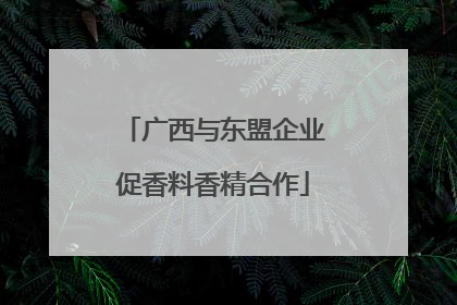 广西与东盟企业促香料香精合作