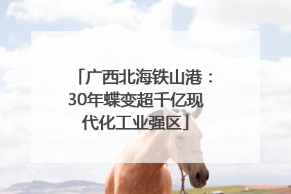 广西北海铁山港：30年蝶变超千亿现代化工业强区