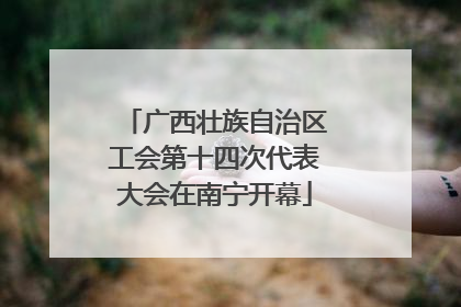广西壮族自治区工会第十四次代表大会在南宁开幕