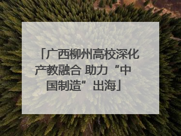 广西柳州高校深化产教融合 助力“中国制造”出海