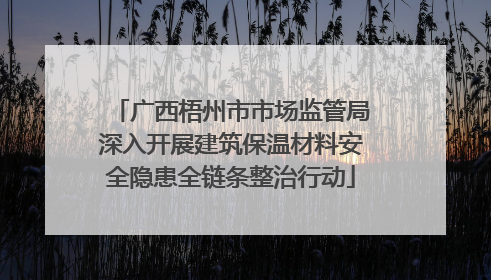 广西梧州市市场监管局深入开展建筑保温材料安全隐患全链条整治行动