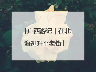 广西游记｜在北海逛升平老街