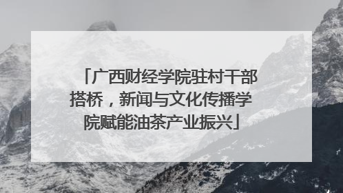 广西财经学院驻村干部搭桥，新闻与文化传播学院赋能油茶产业振兴