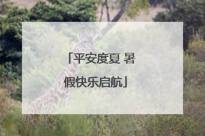 平安度夏 暑假快乐启航