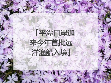 平潭口岸迎来今年首批远洋渔船入境