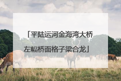 平陆运河金海湾大桥左幅桥面格子梁合龙