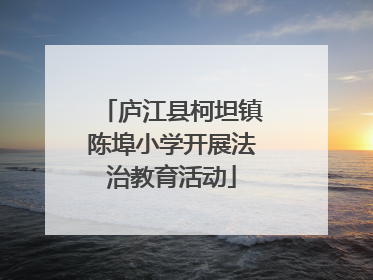 庐江县柯坦镇陈埠小学开展法治教育活动