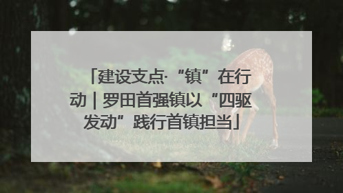 建设支点·“镇”在行动｜罗田首强镇以“四驱发动”践行首镇担当