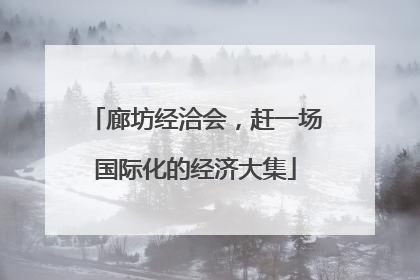 廊坊经洽会，赶一场国际化的经济大集