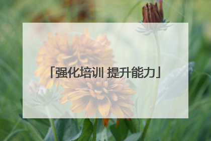 强化培训 提升能力