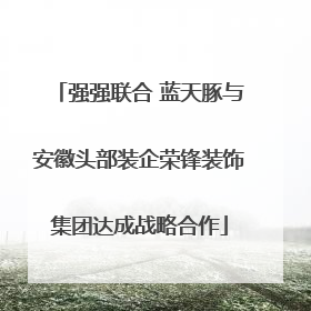 强强联合 蓝天豚与安徽头部装企荣锋装饰集团达成战略合作