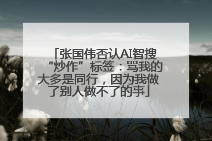 张国伟否认AI智搜“炒作”标签：骂我的大多是同行，因为我做了别人做不了的事