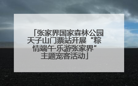 张家界国家森林公园天子山门票站开展“粽情端午·乐游张家界”主题宠客活动
