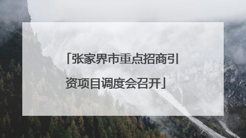 张家界市重点招商引资项目调度会召开