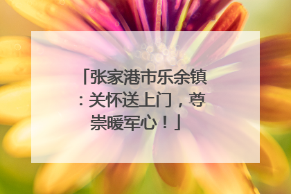 张家港市乐余镇：关怀送上门，尊崇暖军心！