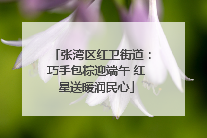 张湾区红卫街道：巧手包粽迎端午 红星送暖润民心