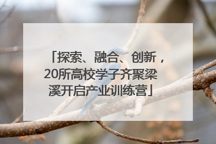探索、融合、创新，20所高校学子齐聚梁溪开启产业训练营