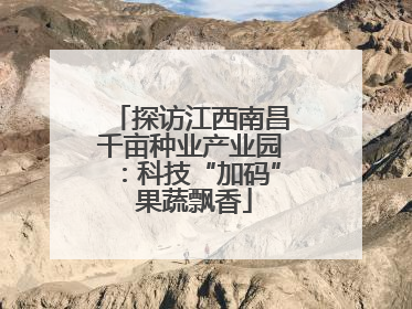 探访江西南昌千亩种业产业园：科技“加码” 果蔬飘香