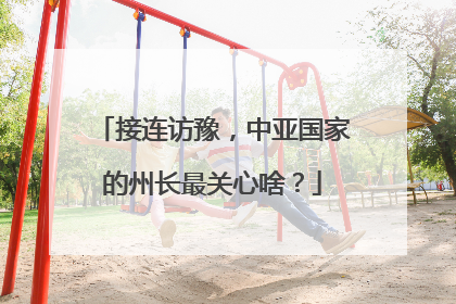 接连访豫，中亚国家的州长最关心啥？