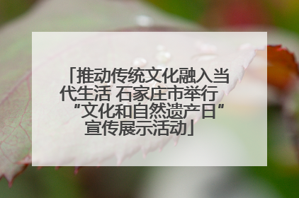 推动传统文化融入当代生活 石家庄市举行“文化和自然遗产日”宣传展示活动