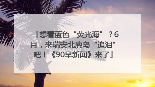 想看蓝色“荧光海”？6月，来瑞安北麂岛“追泪”吧！《90早新闻》来了