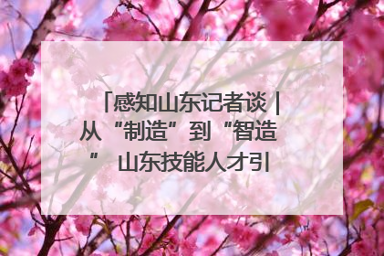 感知山东记者谈｜从“制造”到“智造” 山东技能人才引领产业升级