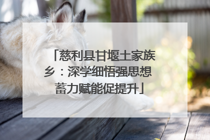 慈利县甘堰土家族乡：深学细悟强思想 蓄力赋能促提升