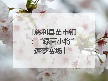 慈利县苗市镇：“绿茵小将”逐梦赛场